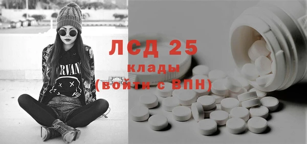ПСИЛОЦИБИНОВЫЕ ГРИБЫ Белоозёрский
