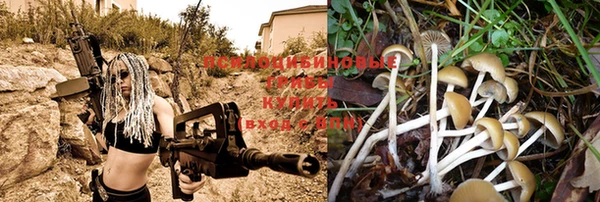 кристаллы Богданович